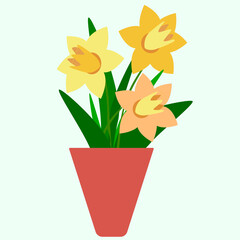 Narcissus. Plant. Flowers in a pot. Spring. Spring flowers season. Yellow. Close-up. For decoration in web design. Flat illustration. Cartoon style
