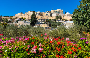 Fototapeta na wymiar Panoramic view of Jerusalem Old City with walls and Jewish quarter seen from ancient City of David quarter in Israel