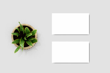 top view business card mockups with green pot of plants