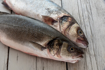 Sea bass with white background