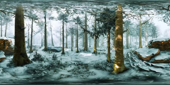 VR360 conifer forest on snowy winter day