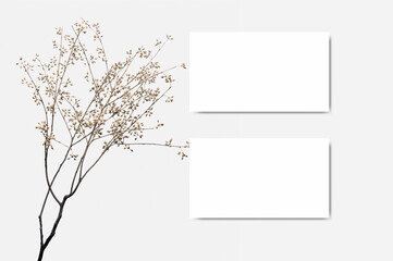 business card mockup with dry plant