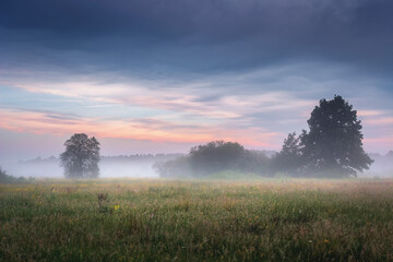 Obraz na płótnie Canvas Nature landscape of spring meadow in the mist at dawn. Colorful sky over calm field and trees. Wild nature. Amazing view on a fresh grassy meadow in early morning.