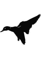 Hunt, Hunting, Deer, Bird, Woodland, Forest, Gun