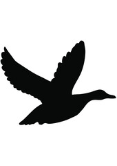 Hunt, Hunting, Deer, Bird, Woodland, Forest, Gun