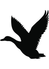 Hunt, Hunting, Deer, Bird, Woodland, Forest, Gun