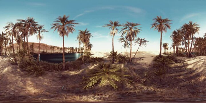 VR360 view of palm oasis in desert