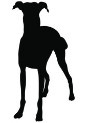 Hunt, Hunting, Deer, Bird, Woodland, Forest, Gun