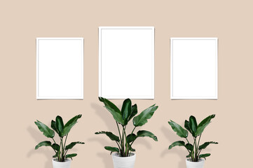 three photo frames mockup with green plants in the front