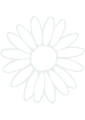 Daisy, Flower, Nature, Summer