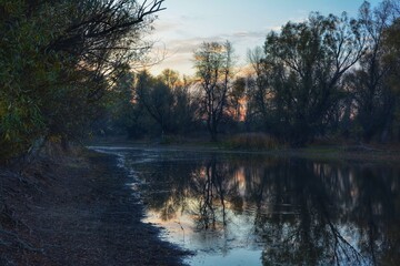 small and quiet lake in the forest