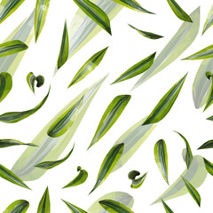 Vector seamless pattern green Dracaena leaves isolated on white background. Floral design elements in triangular low poly style. 