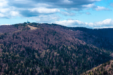 early spring in the forests of southern Poland