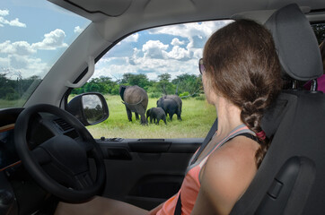 Woman in safari car vacation in South Africa, looking at elephant in savannah, african animals game...