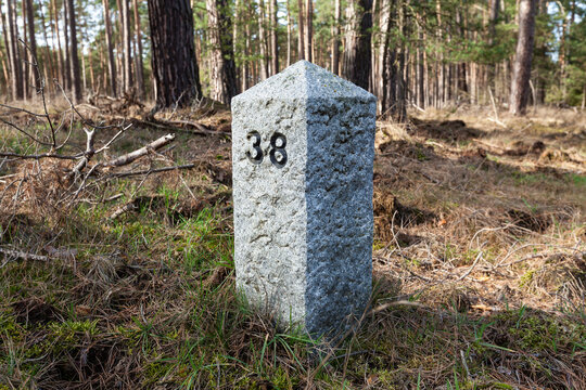 Grenzstein im Wald