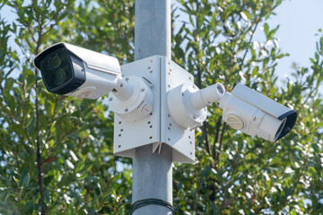 Security systems and alarm technology concept: Two CCTV cameras hanging on an outdoor pole and recording. Digital surveillance. High safety protection cam and video. Green tree at background