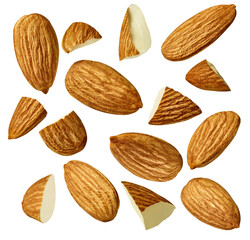 almond nut food healthy organic natural ingredient snack isolated seed brown fruit closeup...