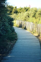 Fototapeta premium Sentier de plage 