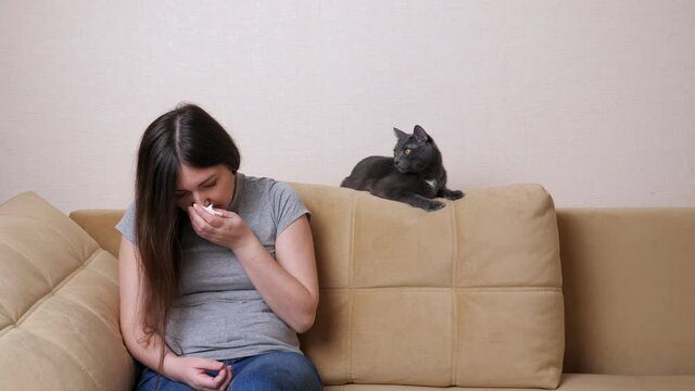 Young lady suffering from allergies sneezes into napkin sitting on sofa near gray cat at home