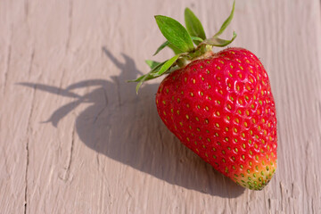 Macro photo of one ripe red strawberry on wooden background. Long shadows because of hard sunlight.