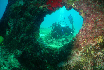                    underwater scuba divers , caribbean sea , Aruba Island 