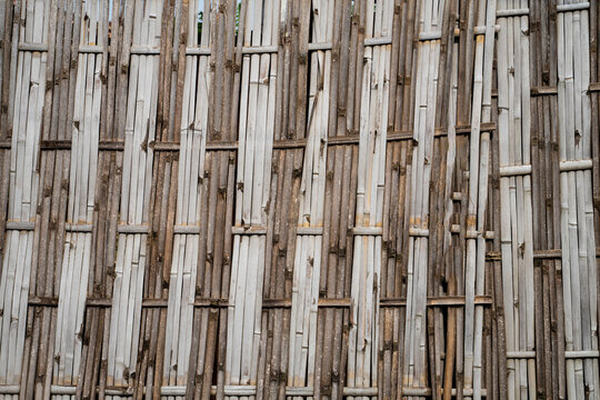 wall made by dry bamboo 