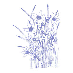 Sketch drawing spring flowers.