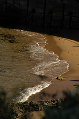 Ola llegando a la orilla