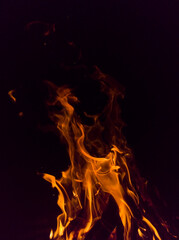 Flame on a black background. Fire on black. Brightly, heat, light, camping, big bonfire.
