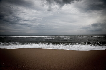 Beautiful natural Florida in winter