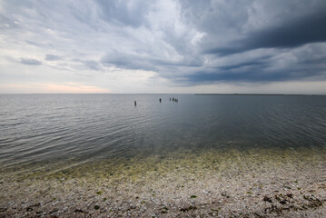 Obraz premium Beautiful natural Florida in winter