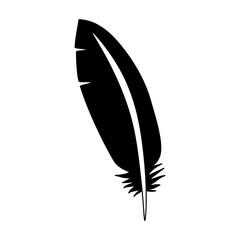 Feather flat icon. Pictogram for web. Line stroke. Isolated on white background. Vector eps10