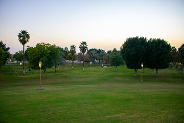 Fototapeta premium landscape of park