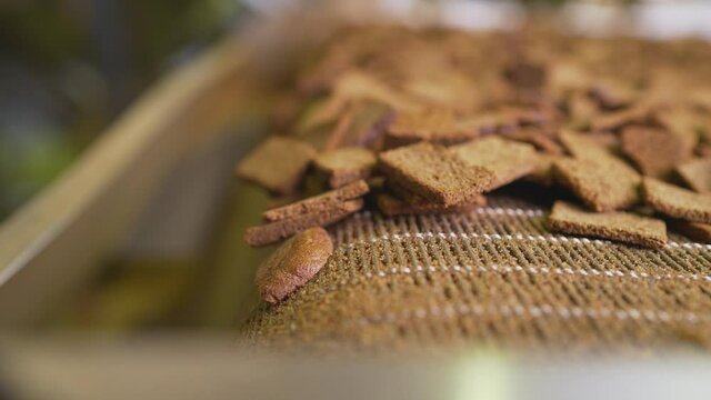 Delicious rusks being manufactured in a factory. Production of rusks on an industrial scale.