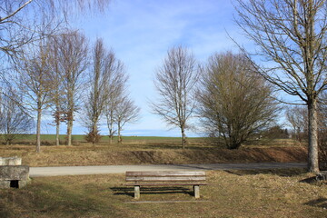 bench in the park