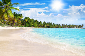 Tropical beach, turquoise sea water, ocean wave, yellow sand, green palms, sun blue sky, white...