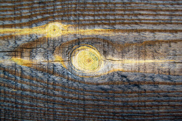 wood texture. uncoated wooden horizontal board with knotsv