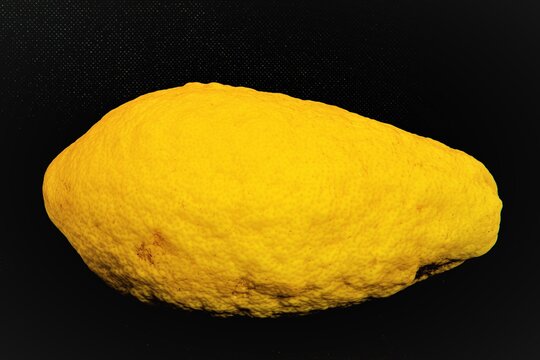 Eine große Cedrozitrone , auch Zitronatzitrone genannt, aus Sizilien- Durch Kandieren wird Zitronat hergestellt. Aber auch zur Herstellung von Zitronenlikör dient sie.