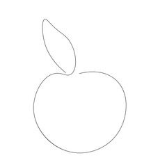 Orange fruit drawing, vector illustration