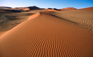 Fototapeta na wymiar pattern in the sand of red dunes of Namib desert