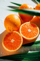 Healthy food. Red oranges. Vegetarian food. Healthy lifestyle. Fresh delicious citrus fruits. They are lying on a white table. Real live vitamin C. Long green leaves from a palm tree. copy space.