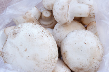Close up fresh white mushrooms. Healthy foods.