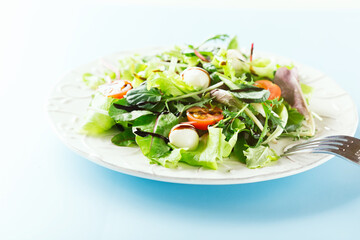Healthy green salad on white plate with fresh salad leaves, tomatoes and mozzarella cheese on blue background