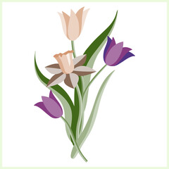 Vector illustration tulips with daffodils pattern.