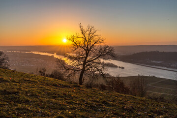 Blick über den Rhein im Sonnenaufgang