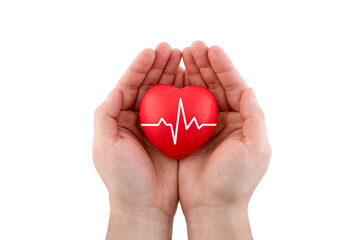 Red heart with pulse in hands isolated on white background with clipping path