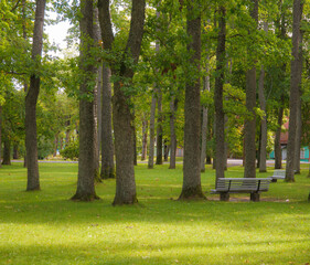 Fototapeta na wymiar Bench in a quiet park