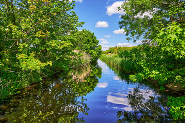 Fototapeta na wymiar Sunny day at a small creek in the surrounding countryside of Berlin, Germany.