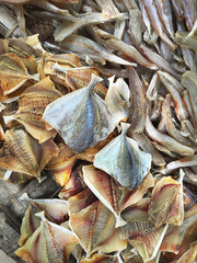 การผลิตปลาทะเลแห้งที่จังหวัดติดชายทะเลของอ่าวไทย