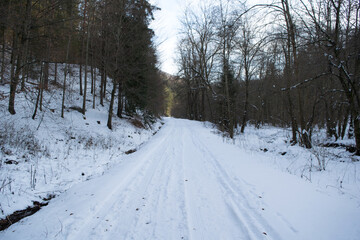 Fototapeta na wymiar Snowy road in forest in winter